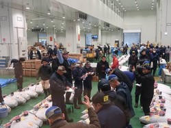 Fakta Menarik Soal Pasar Ikan Toyosu atau Pasar Tsukiji Baru