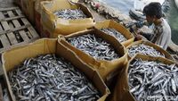 Aktivitas Bongkar Muat Ikan Kering di Pelabuhan Labuan Bajo