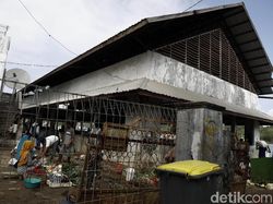 Berita Dan Informasi Tpi Labuan Bajo Terkini Dan Terbaru Hari Ini Detikcom