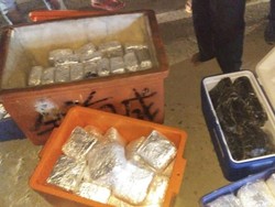 BNN Sita 106 Bungkus Narkotika dalam 5 Box Ikan di Kalbar