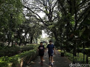 Walau Mal Jakarta Sudah Buka, Taman Kota dan Ruang Hijau Masih Tutup