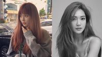 Deretan Member Kpop yang Didepak