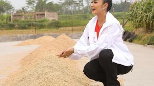 Mengintip Krisdayanti Saat Panen Padi hingga Blusukan ke Pasar