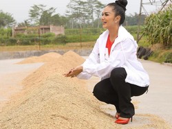 Pamer Foto Kartini-an, Krisdayanti Dipuji Adik Ahok