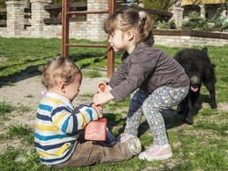 Cara Menghadapi Kakak dan Adik yang Rebutan Mainan