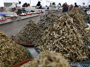 Kepala Bappenas Minta RI Segera Punya Pasar Ikan Internasional