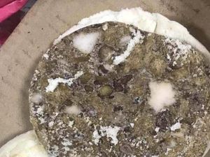 Ada Daging Busuk Menjijikkan di Kantin Sekolah China, Publik Marah