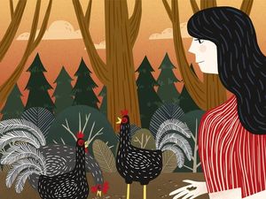 Gadis yang Gemar Membantai Ayam Jantan