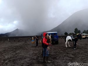 Bromo Semburkan Abu Vulkanik, Ojek Kuda Mengeluh Pendapatan Turun