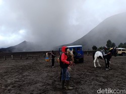 Bromo Semburkan Abu Vulkanik, Ojek Kuda Mengeluh Pendapatan Turun