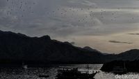 Foto Senja Diiringi Jutaan Kalong di Langit NTT