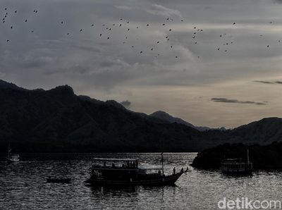 Foto Senja Diiringi Jutaan Kalong di Langit NTT
