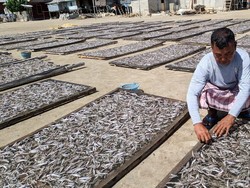 Pakai Bank Terapung, BRI Incar Potensi UMKM di Kepulauan NTT