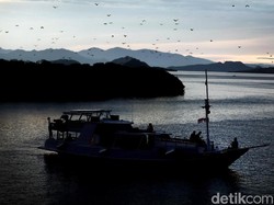 Pulau Kalong NTT yang Cocok Untuk Pemburu Senja