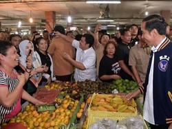 Kehebohan saat Jokowi Beli Sekilo Ikan Teri Medan