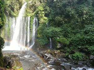 Seluruh Turis Malaysia Terjebak Longsor di Air Terjun NTB Dievakuasi