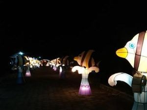 Mau Wisata Malam yang Aman di Yogyakarta, ke Sini Saja Mau Wisata Malam yang Aman di Yogyakarta, ke Sini Saja