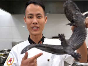 Chef Asal China Dikritik Setelah Masak Salamander yang Nyaris Punah