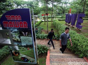 Menikmati Asri dan Cantiknya Taman Lembah Mawar Depok