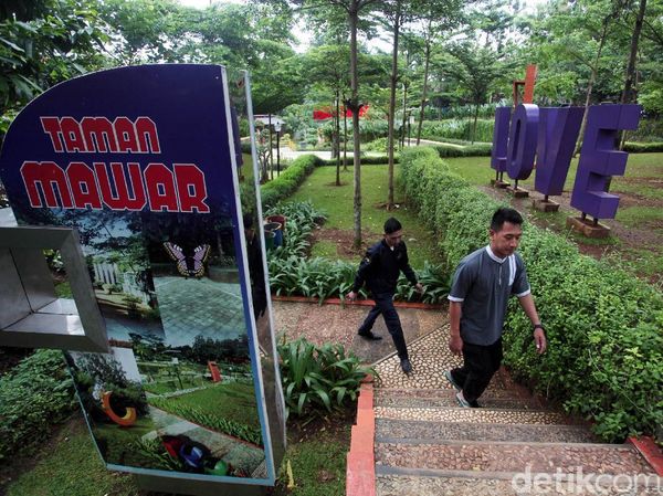 Menikmati Asri dan Cantiknya Taman Lembah Mawar Depok