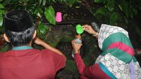 Foto: Mata Air Rasa Soda & Mitos Lancar Rejeki di Kudus