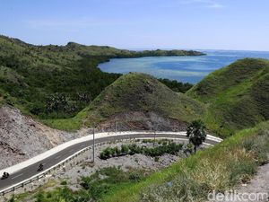 Aspal Mulus di Flores: Melintas Bukit Pinggir Laut Labuan Bajo