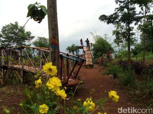 Sejuk! Tol Trans Jawa Lahirkan Tempat Wisata Baru