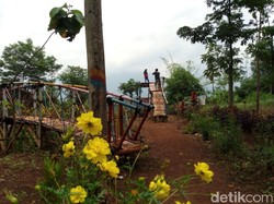 Sejuk! Tol Trans Jawa Lahirkan Tempat Wisata Baru