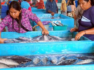Tak Kalah dengan Tsukiji, Ini Pasar Ikan Higienis Bitung