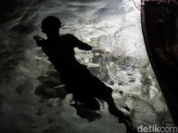Cara Ramah Lingkungan Orang Bajo Mendapat Ikan: Memanah dan Menombak