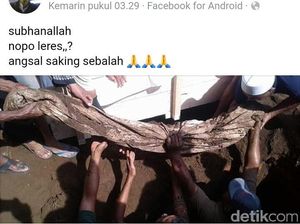 Heboh Jasad Kiai di Blitar yang Utuh Meski Terkubur 31 Tahun Heboh Jasad Kiai di Blitar yang Utuh Meski Terkubur 31 Tahun