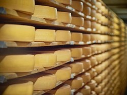 Kenali! Ini Bedanya Keju Natural dan Keju Buatan Pabrik