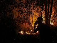 Api Membara di Hutan Kanada: Kisah Keberanian dan Kehilangan di Tengah Kebakaran Dahsyat