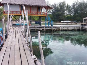 Taman Nasional Karimunjawa Pernah Perintahkan Setop Wisata Hiu Taman Nasional Karimunjawa Pernah Perintahkan Setop Wisata Hiu