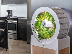 Canggih! Ini OGarden, Kebun Mini Modern Dalam Ruangan