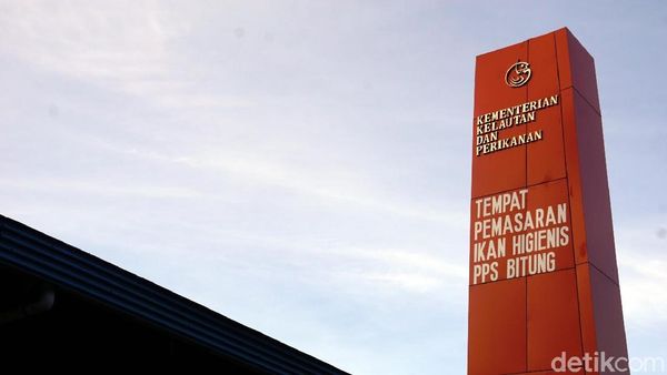 Foto: Ikan Tuna Terbaik Indonesia Ada di Pasar Ini