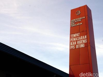 Foto: Ikan Tuna Terbaik Indonesia Ada di Pasar Ini