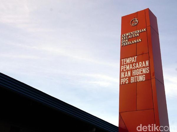 Foto: Ikan Tuna Terbaik Indonesia Ada di Pasar Ini