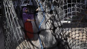 Aktivitas Emak-emak Pulau Messah Merajut Jaring Ikan