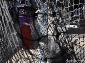 Aktivitas Emak-emak Pulau Messah Merajut Jaring Ikan Aktivitas Emak-emak Pulau Messah Merajut Jaring Ikan