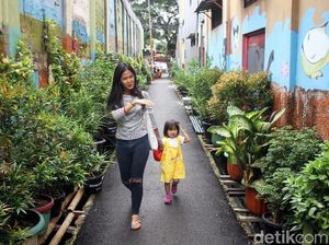 Menengok Gang Hijau yang Asri nan Artistik di Pademangan Barat
