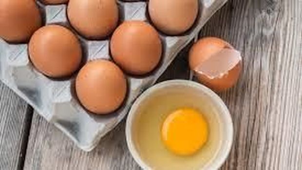 Ilustrasi telur