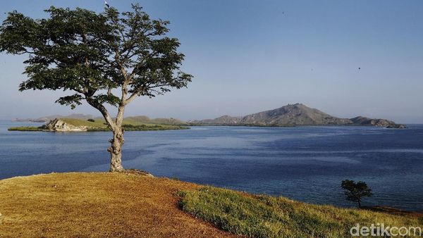 Panorama Pulau Messah yang Memanjakan Mata