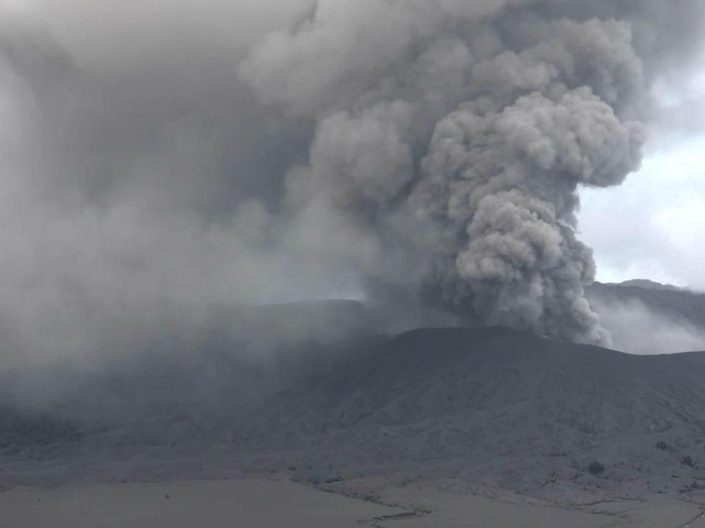 Hujan Abu Bromo Usir Kera Ekor Panjang dan Elang Jawa dari Habitatnya Hujan Abu Bromo Usir Kera Ekor Panjang dan Elang Jawa dari Habitatnya