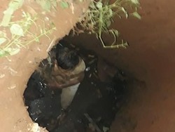 Iyuuhh! Pencuri Terjerembap di Septic Tank Setelah Aksinya Kepergok Warga