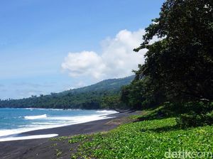 Keajaiban Hutan Tangkoko di Bitung Keajaiban Hutan Tangkoko di Bitung