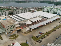 Video Pasar Ikan Modern Muara Baru yang Lagi Viral