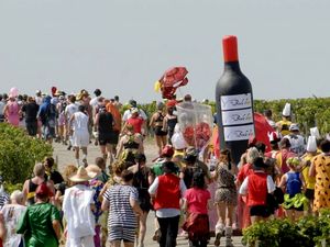 Serunya Lari Maraton Sambil Minum Wine dan Makan Keju