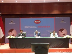 Darmin dan Luhut Sepakat Kecam Diskriminasi Sawit di Eropa