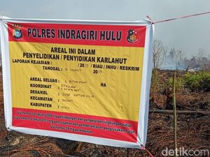 Lahan Tidur Milik Perusahaan Sawit di Riau Terbakar